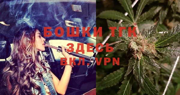 мдпв Богородицк
