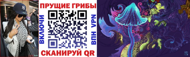 Псилоцибиновые грибы Magic Shrooms хочу Мичуринск